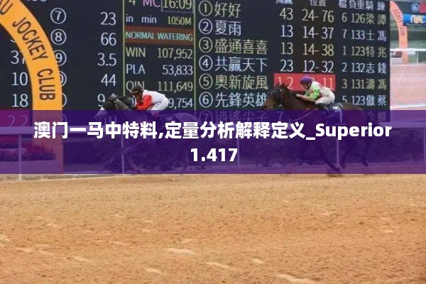 澳門一馬中特料,定量分析解釋定義_Superior1.417