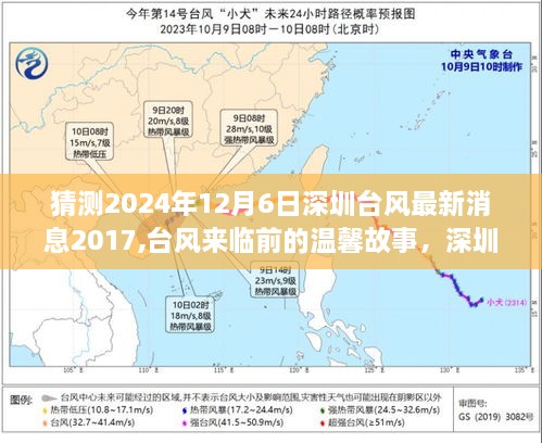 深圳夏日奇遇與家的溫暖，臺風(fēng)來臨前的溫馨故事及最新消息猜測（2024年臺風(fēng)動態(tài)）