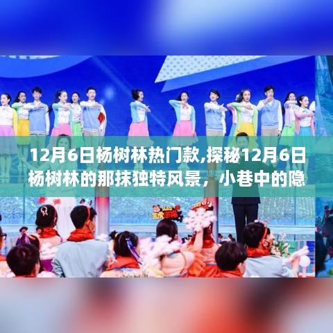 探秘楊樹林隱藏寶藏，12月6日熱門款特色小店獨特風景揭秘