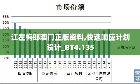 江左梅郎澳門正版資料,快速響應(yīng)計(jì)劃設(shè)計(jì)_BT4.135