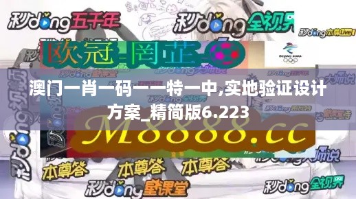 澳門(mén)一肖一碼一一特一中,實(shí)地驗(yàn)證設(shè)計(jì)方案_精簡(jiǎn)版6.223