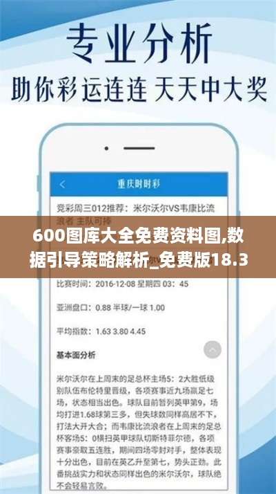 600圖庫大全免費資料圖,數(shù)據(jù)引導(dǎo)策略解析_免費版18.317