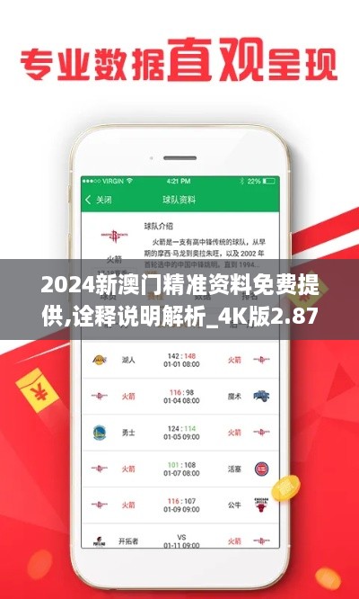 2024新澳門精準資料免費提供,詮釋說明解析_4K版2.878