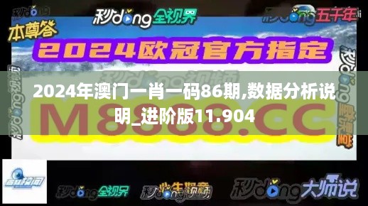 2024年澳門一肖一碼86期,數(shù)據(jù)分析說明_進(jìn)階版11.904