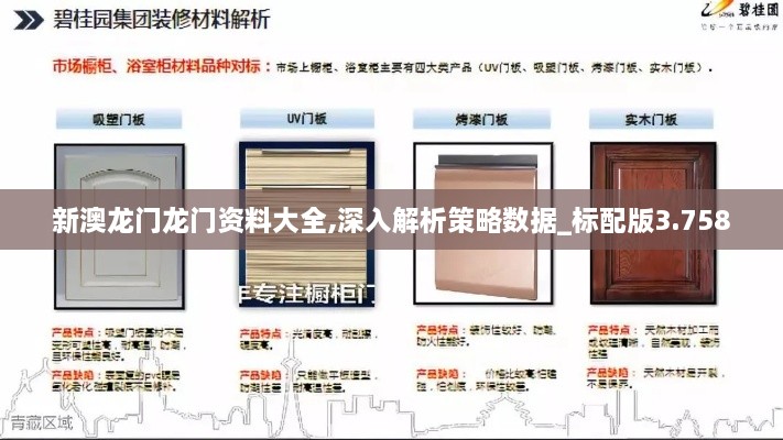 新澳龍門龍門資料大全,深入解析策略數(shù)據(jù)_標(biāo)配版3.758
