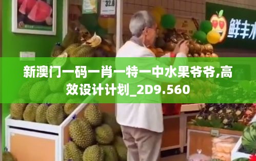 新澳門一碼一肖一特一中水果爺爺,高效設(shè)計(jì)計(jì)劃_2D9.560