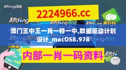 澳門王中王一肖一特一中,數(shù)據(jù)驅(qū)動(dòng)計(jì)劃設(shè)計(jì)_macOS8.978