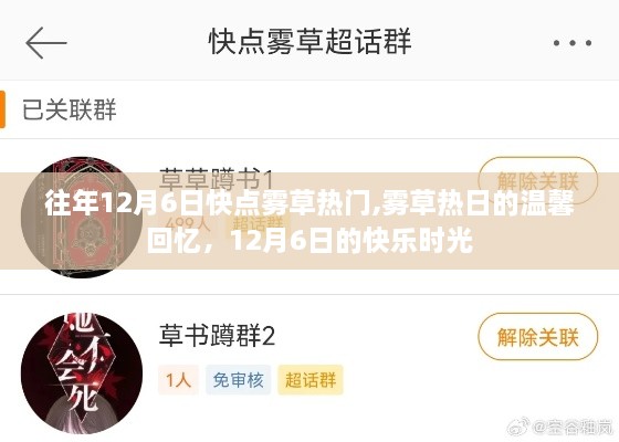 霧草熱日，回憶溫馨快樂時(shí)光