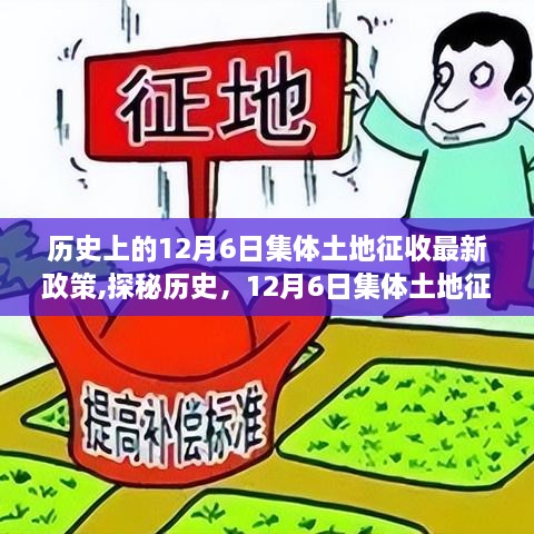 揭秘歷史上的集體土地征收政策變遷，新政策下的隱秘小巷特色小店探索之旅
