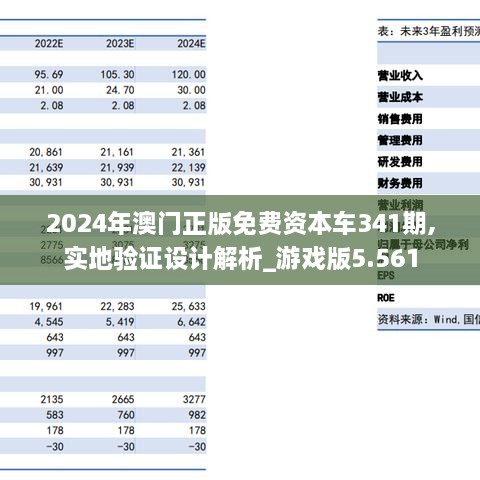 2024年澳門正版免費(fèi)資本車341期,實(shí)地驗(yàn)證設(shè)計解析_游戲版5.561