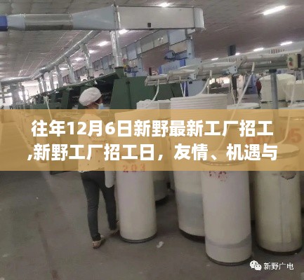 新野工廠招工日，友情、機(jī)遇與家的溫暖齊聚12月6日