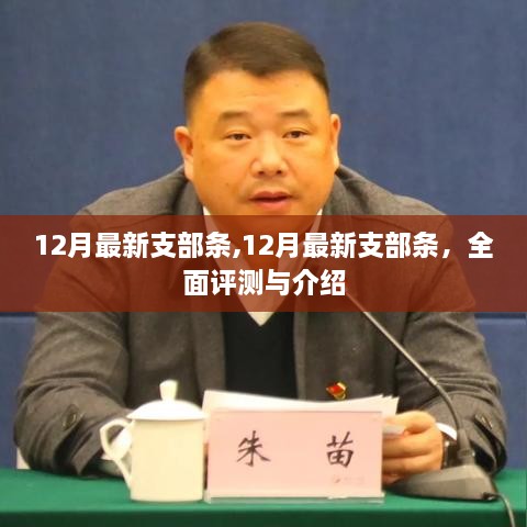 最新支部條評測與介紹，深度解讀十二月更新內(nèi)容