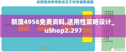 新澳4958免費(fèi)資料,適用性策略設(shè)計(jì)_uShop2.297