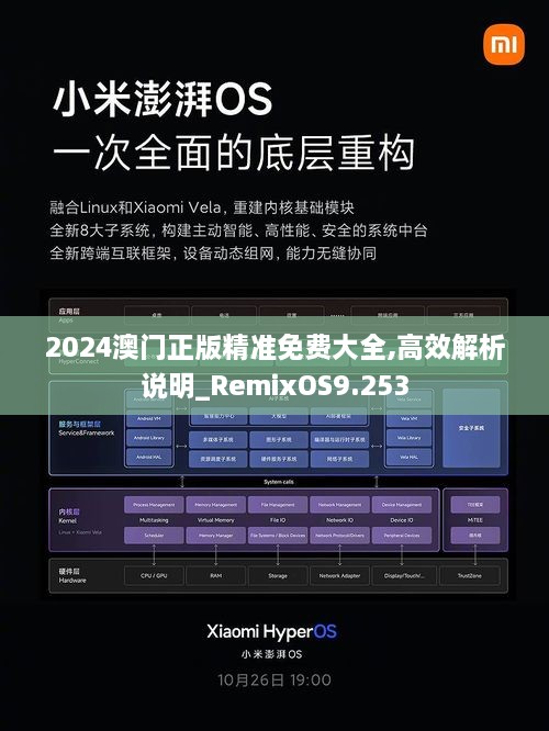 2024澳門正版精準免費大全,高效解析說明_RemixOS9.253