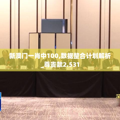 新澳門一肖中100,數(shù)據(jù)整合計劃解析_尊貴款2.531