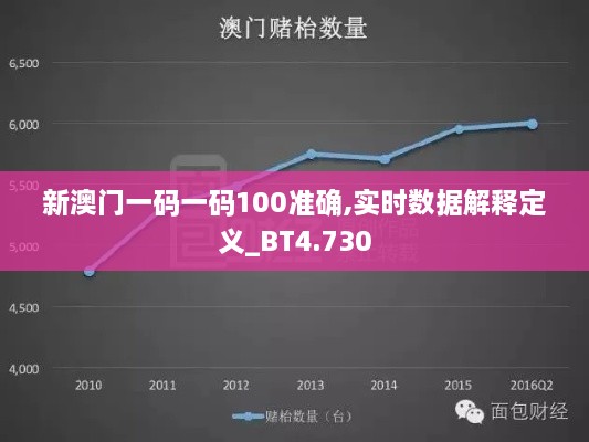 新澳門一碼一碼100準(zhǔn)確,實(shí)時(shí)數(shù)據(jù)解釋定義_BT4.730