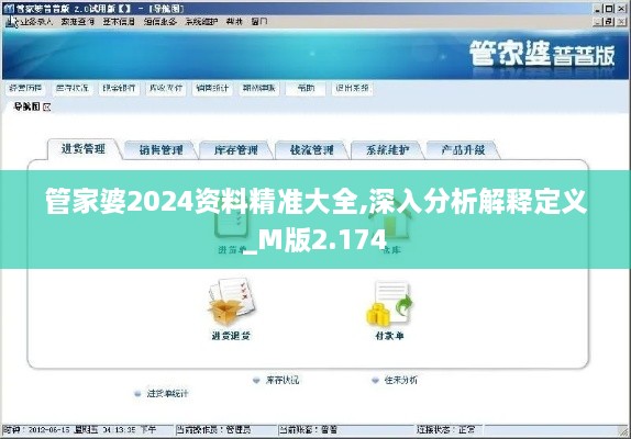 管家婆2024資料精準(zhǔn)大全,深入分析解釋定義_M版2.174
