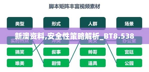 新澳資料,安全性策略解析_BT8.538