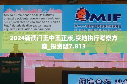 2024新澳門王中王正版,實(shí)地執(zhí)行考察方案_投資版7.813
