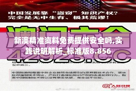 新澳精準(zhǔn)資料免費(fèi)提供安全嗎,實(shí)踐說明解析_標(biāo)準(zhǔn)版8.856