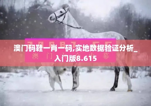 澳門碼鞋一肖一碼,實(shí)地?cái)?shù)據(jù)驗(yàn)證分析_入門版8.615