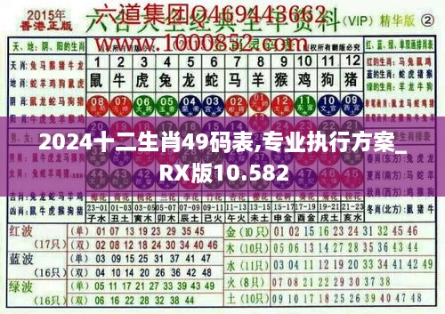 2024十二生肖49碼表,專業(yè)執(zhí)行方案_RX版10.582