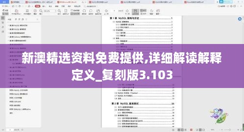 新澳精選資料免費提供,詳細解讀解釋定義_復刻版3.103