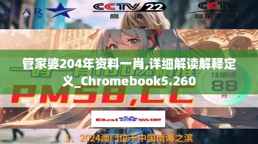 管家婆204年資料一肖,詳細解讀解釋定義_Chromebook5.260