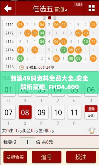 新澳49碼資料免費(fèi)大全,安全解析策略_FHD4.800