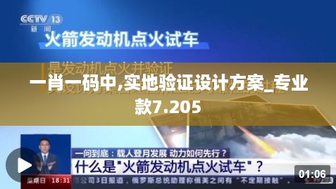 一肖一碼中,實地驗證設計方案_專業(yè)款7.205