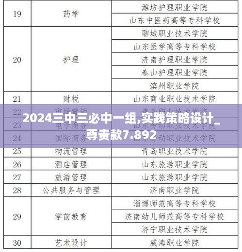 2024三中三必中一組,實踐策略設計_尊貴款7.892