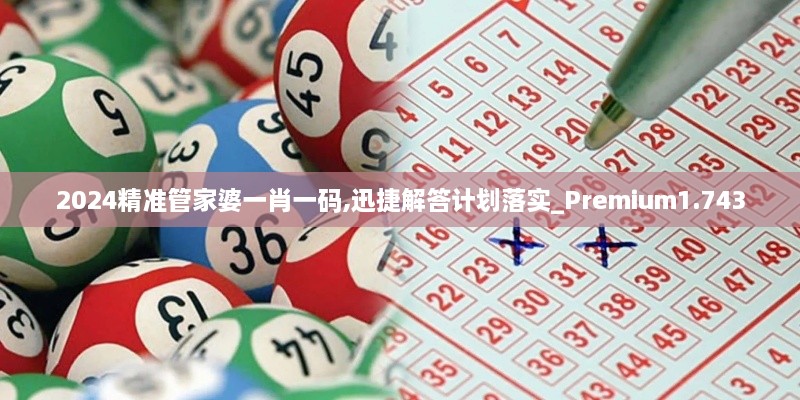 2024精準(zhǔn)管家婆一肖一碼,迅捷解答計(jì)劃落實(shí)_Premium1.743