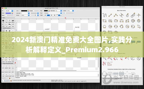 2024新澳門精準免費大全圖片,實踐分析解釋定義_Premium2.966
