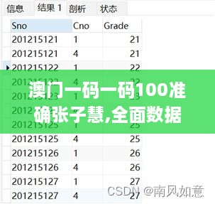 澳門一碼一碼100準(zhǔn)確張子慧,全面數(shù)據(jù)解釋定義_AR版4.508
