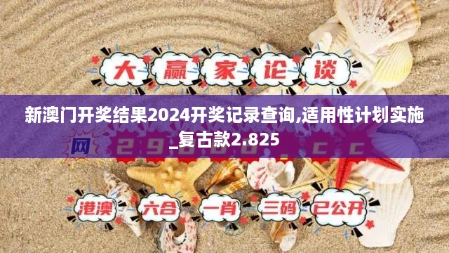 新澳門開獎(jiǎng)結(jié)果2024開獎(jiǎng)記錄查詢,適用性計(jì)劃實(shí)施_復(fù)古款2.825