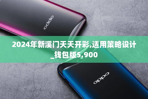 2024年新溪門天天開彩,適用策略設(shè)計(jì)_錢包版5.900
