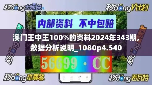 澳門王中王100%的資料2024年343期,數(shù)據(jù)分析說明_1080p4.540