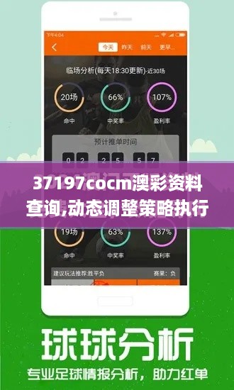 37197cocm澳彩資料查詢,動(dòng)態(tài)調(diào)整策略執(zhí)行_3DM9.816