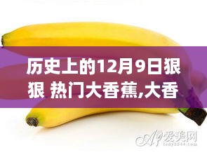 大香蕉與塵囂的心靈探尋之旅，歷史上的12月9日回顧