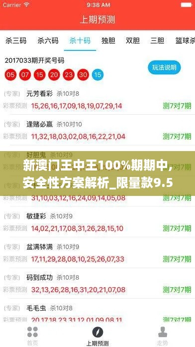 新澳門王中王100%期期中,安全性方案解析_限量款9.597