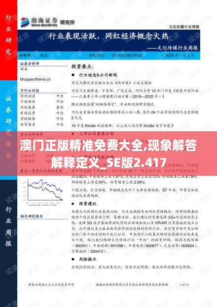 澳門正版精準(zhǔn)免費(fèi)大全,現(xiàn)象解答解釋定義_SE版2.417