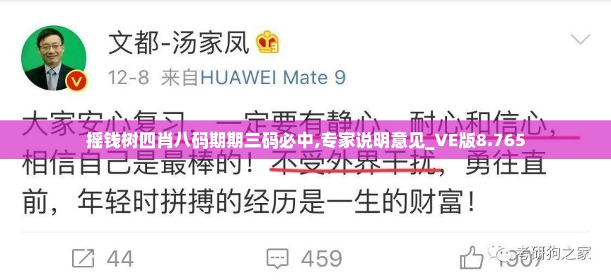 搖錢(qián)樹(shù)四肖八碼期期三碼必中,專(zhuān)家說(shuō)明意見(jiàn)_VE版8.765
