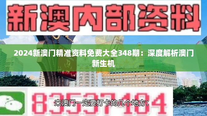 2024新澳門精準資料免費大全348期：深度解析澳門新生機