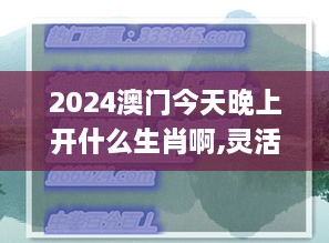 2024澳門今天晚上開什么生肖啊,靈活性執(zhí)行計劃_Galaxy4.446