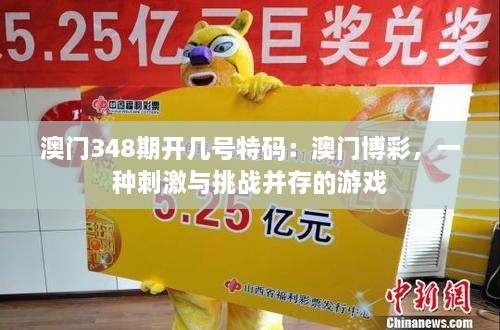 澳門348期開幾號(hào)特碼：澳門博彩，一種刺激與挑戰(zhàn)并存的游戲