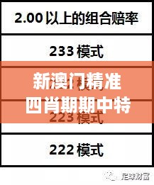 新澳門精準四肖期期中特公開：巨額財富背后的算法