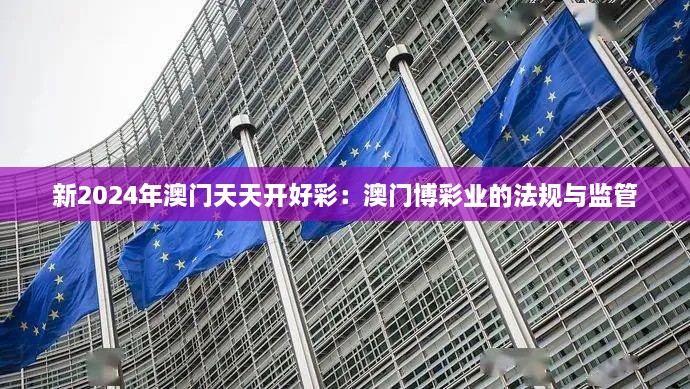 新2024年澳門天天開好彩：澳門博彩業(yè)的法規(guī)與監(jiān)管