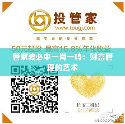 管家婆必中一肖一鳴：財富管理的藝術(shù)