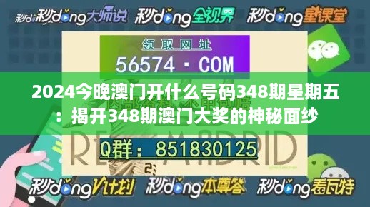2024今晚澳門開什么號碼348期星期五：揭開348期澳門大獎的神秘面紗