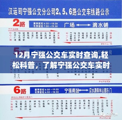 寧強公交車實時查詢系統(tǒng)詳解，輕松科普指南（12月版）